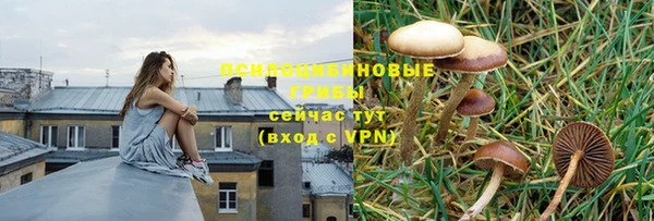 тгк Протвино