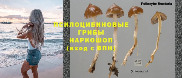 прущие крисы Алексин