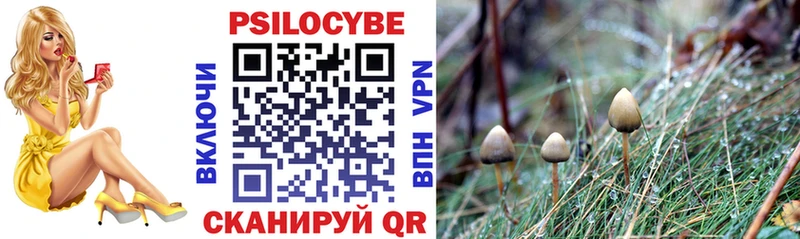Галлюциногенные грибы прущие грибы  Лесосибирск 